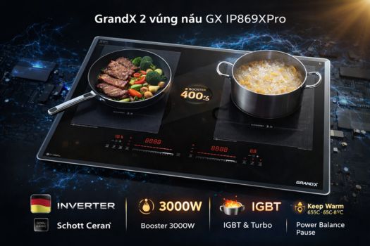 Bếp từ GrandX 2 vùng nấu GX IP869XPro Serial 8