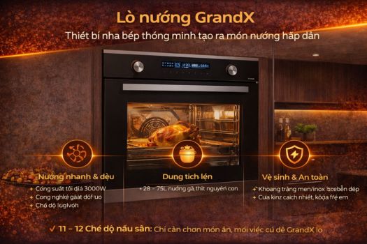 lò nướng grandx